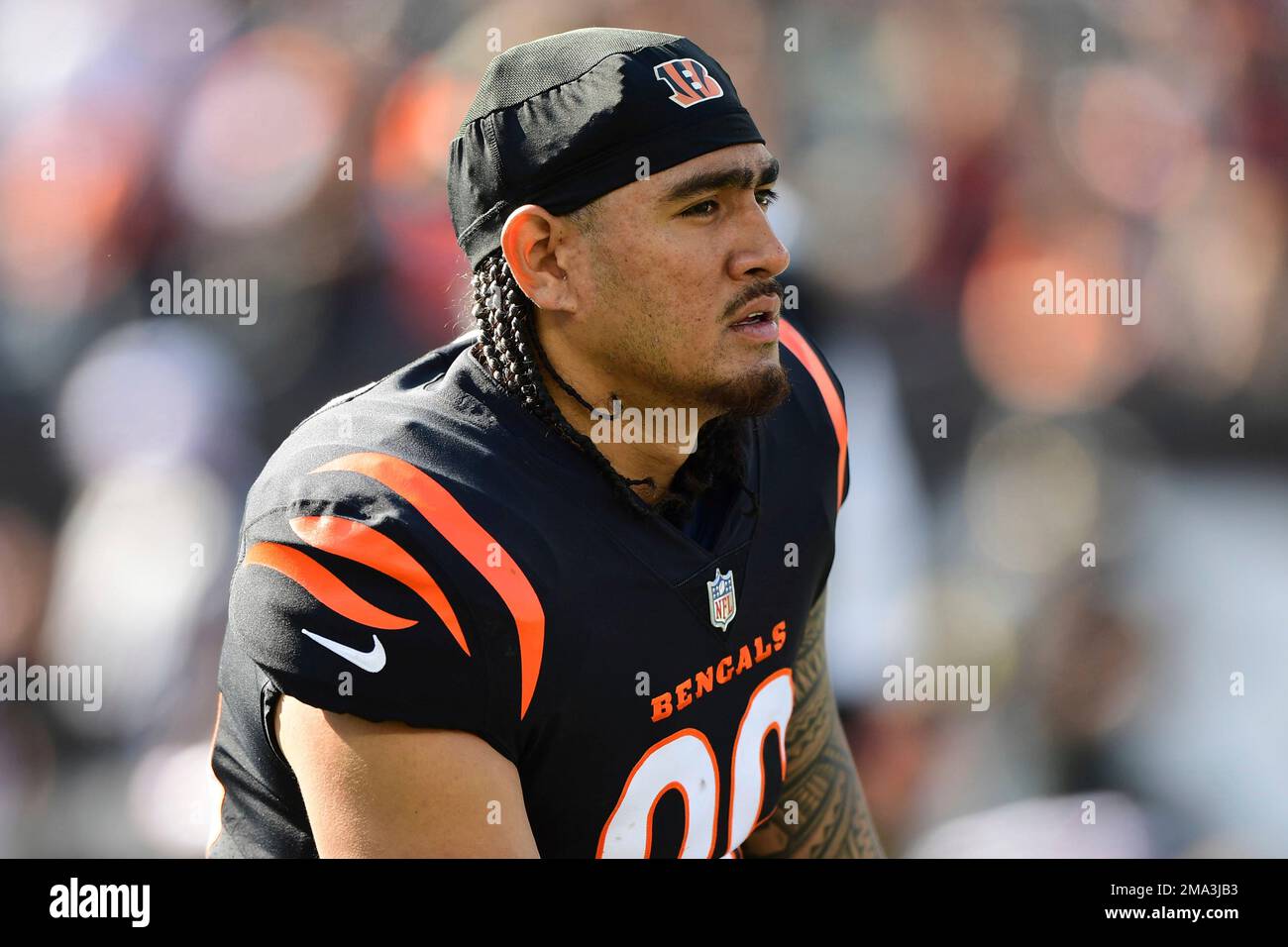 Cincinnati Bengals tight end Devin Asiasi (86) reacts during warm ups  before an NFL football game against the Carolina Panthers, Sunday, Nov. 6,  2022, in Cincinnati. (AP Photo/Emilee Chinn Stock Photo - Alamy