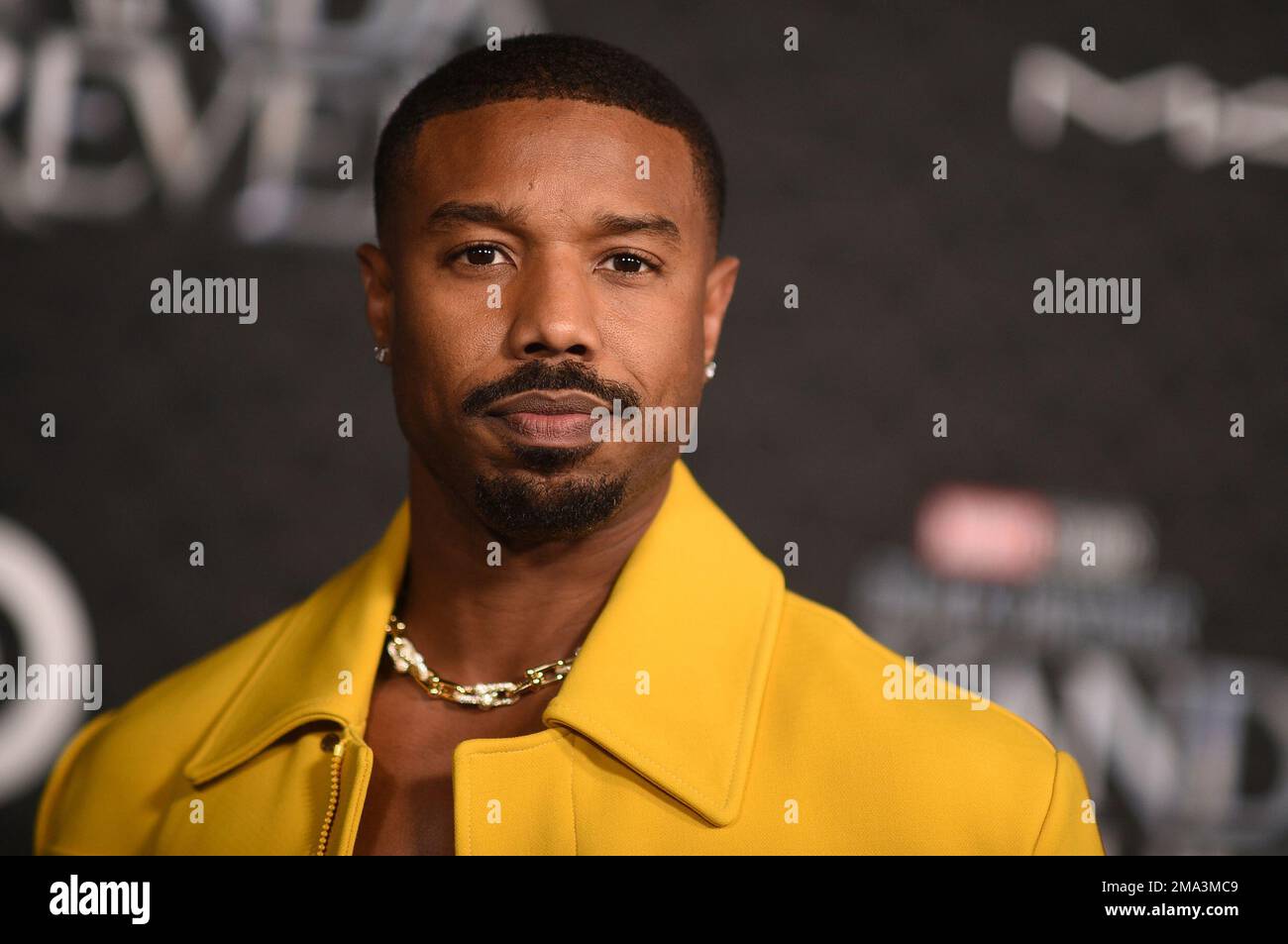 Black Panther 2 News on X: Michael B. Jordan at the Black Panther:  #WakandaForever world premiere!  / X