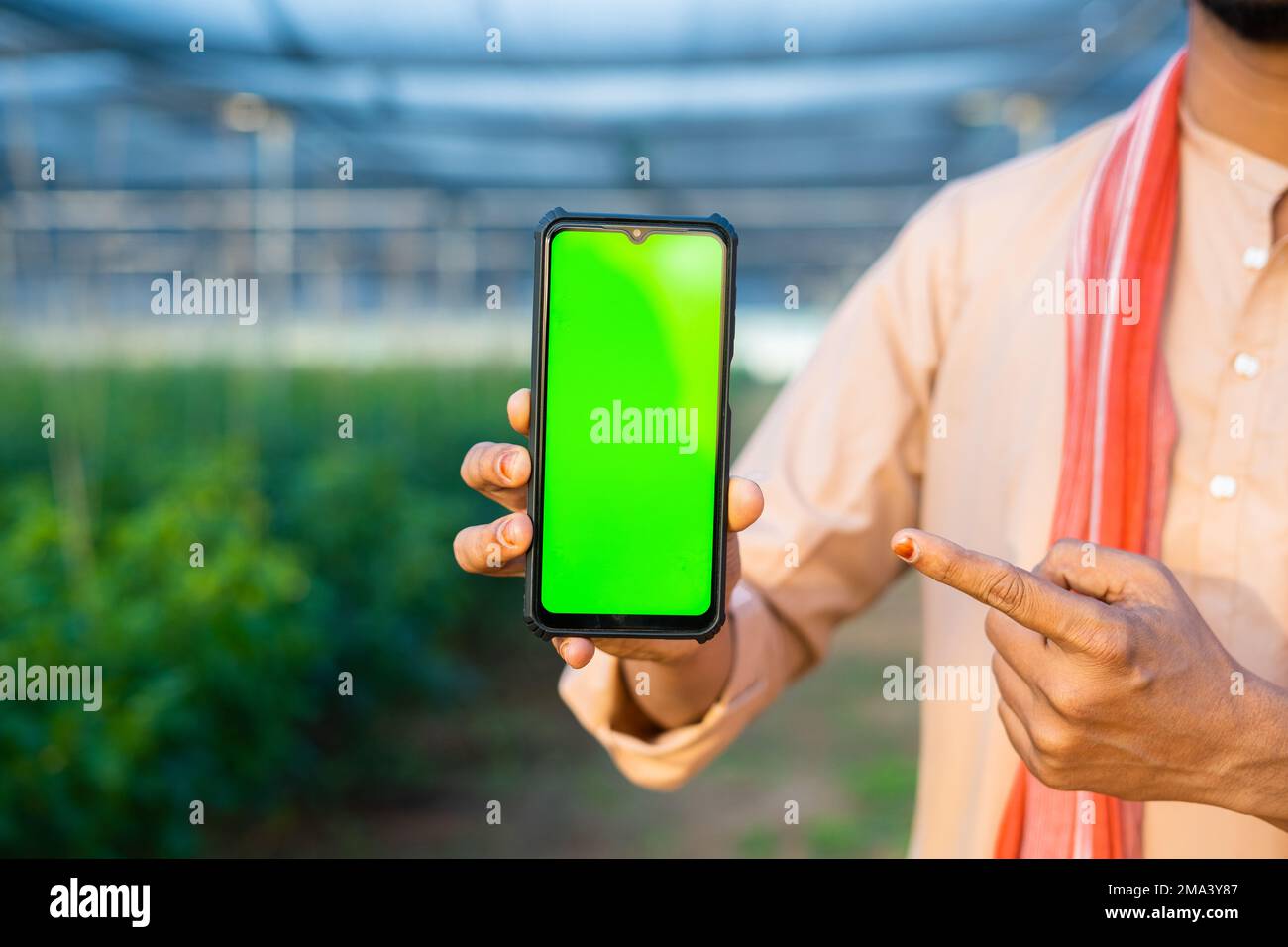 close up of farmer hands showing green screen mobile phone by pointing finger by looking camera at greenhouse - concept of agriculture promotion Stock Photo