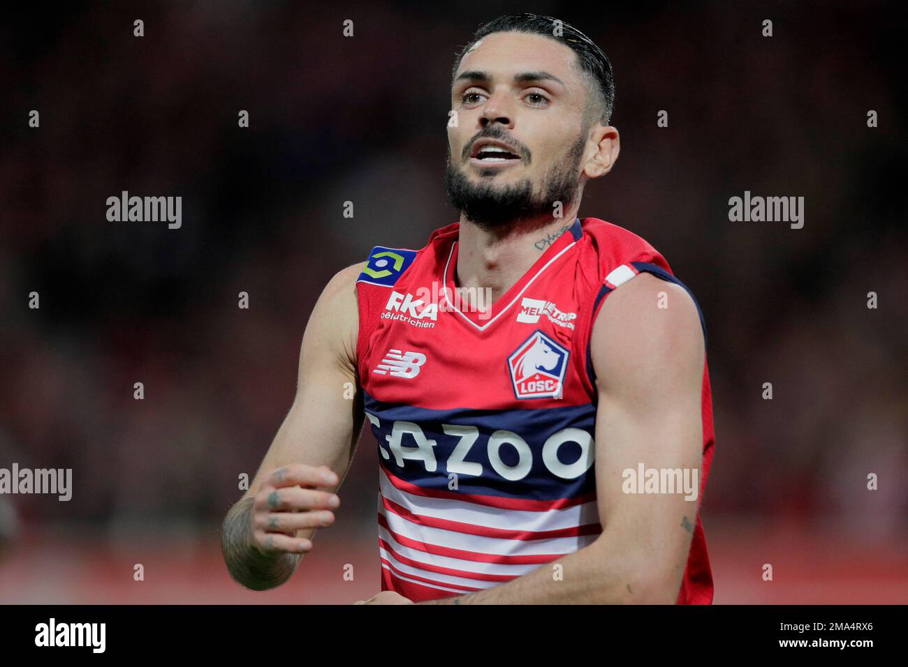 Lille's Remy Cabella celebrates his goal during the French League one ...