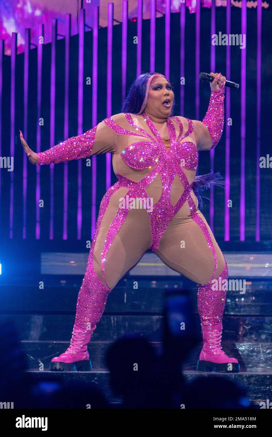 lizzo in purple dress Purple reign! Lizzo models an eye-catching low-cut dress