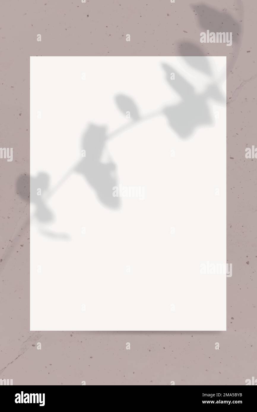 Neutral color tone poster mockup vector Stock Vector
