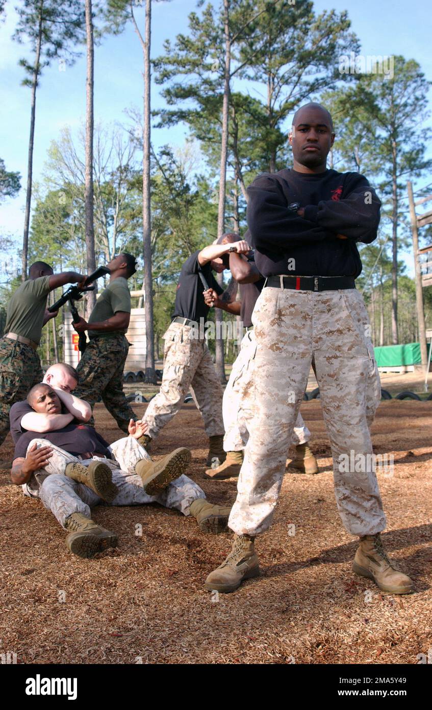 A us marine corps usmc martial arts instructor poses for a photograph