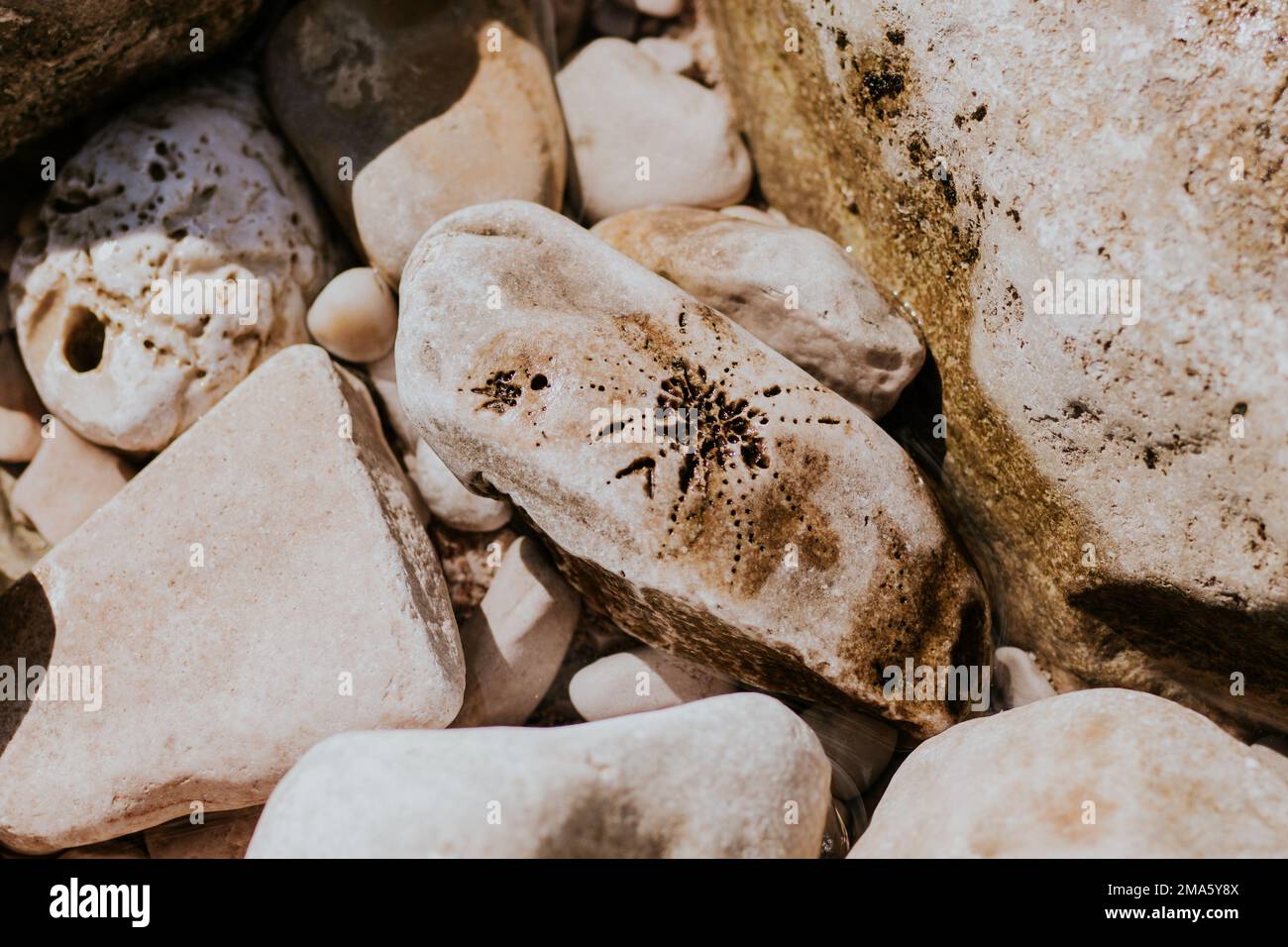 Rocks on a beach Stock Photo - Alamy