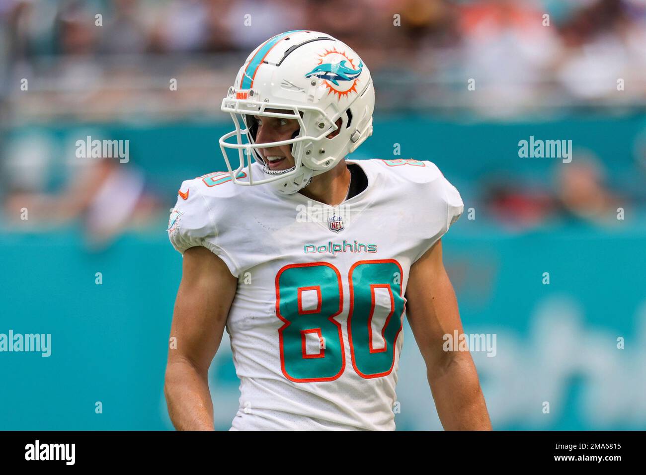 Miami Dolphins tight end Tanner Conner (80) walks to the line during a