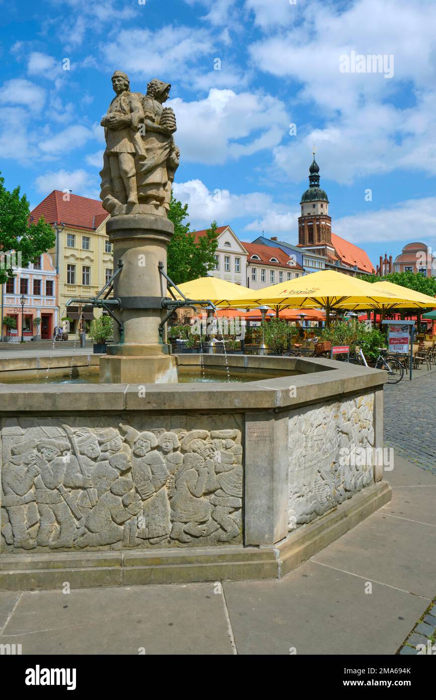 Altmarkt with market fountain by sculptor Johannes Peschel, Cottbus