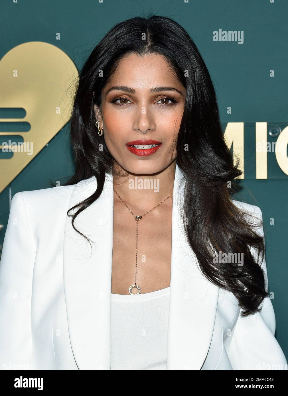 Freida Pinto attends the God #39 s Love We Deliver 16th annual Golden Heart