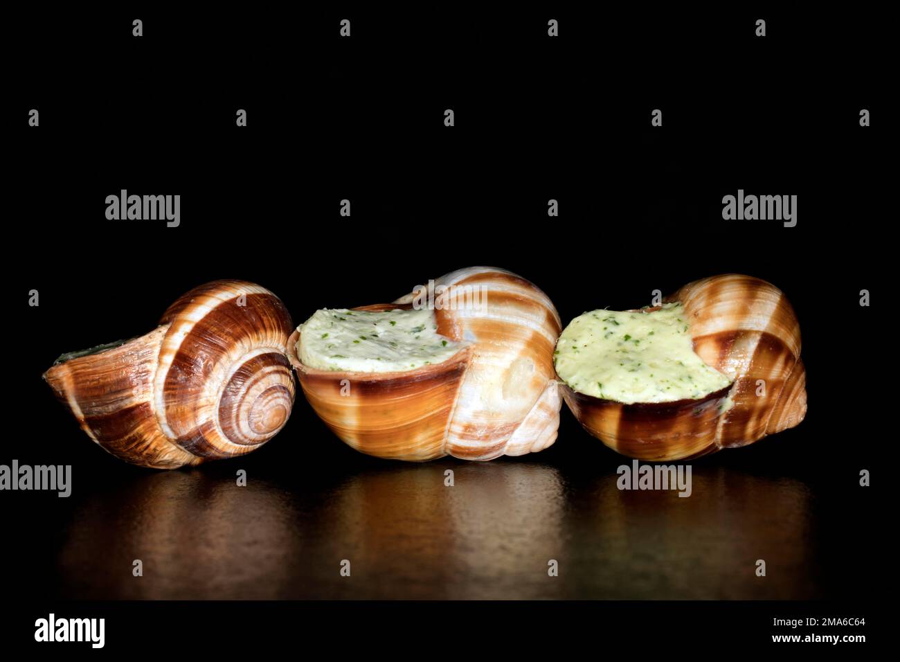 Striped (Helix lucorum) Roman snails stuffed with herb garlic butter, studio photography with black background Stock Photo