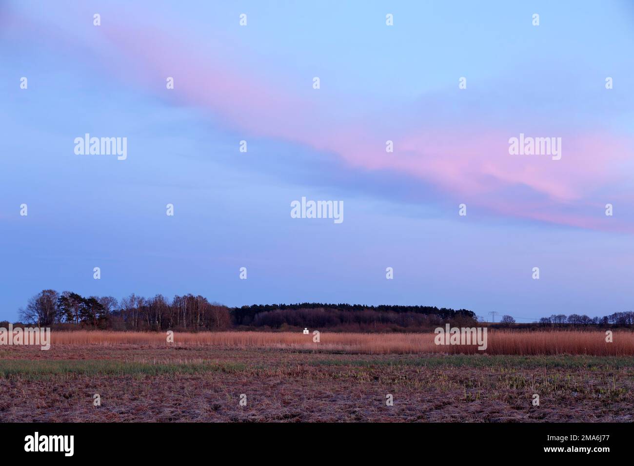 Evening mood over the moor, Peene Valley River Landscape nature Park, Mecklenburg-Western Pomerania, Germany Stock Photo