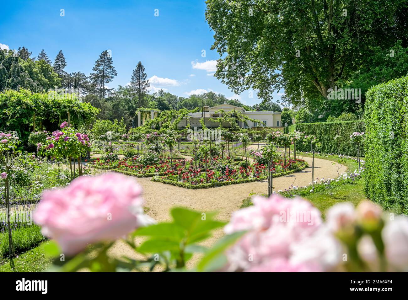 Rose Garden, Charlottenhof Palace, Sanssouci Palace Park, Potsdam