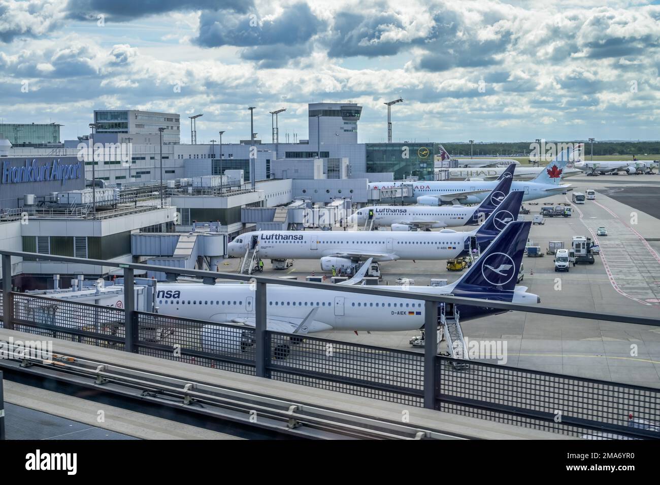 Aircraft, Gate, Handling, Lufthansa, Airport, Frankfurt am Main, Hesse