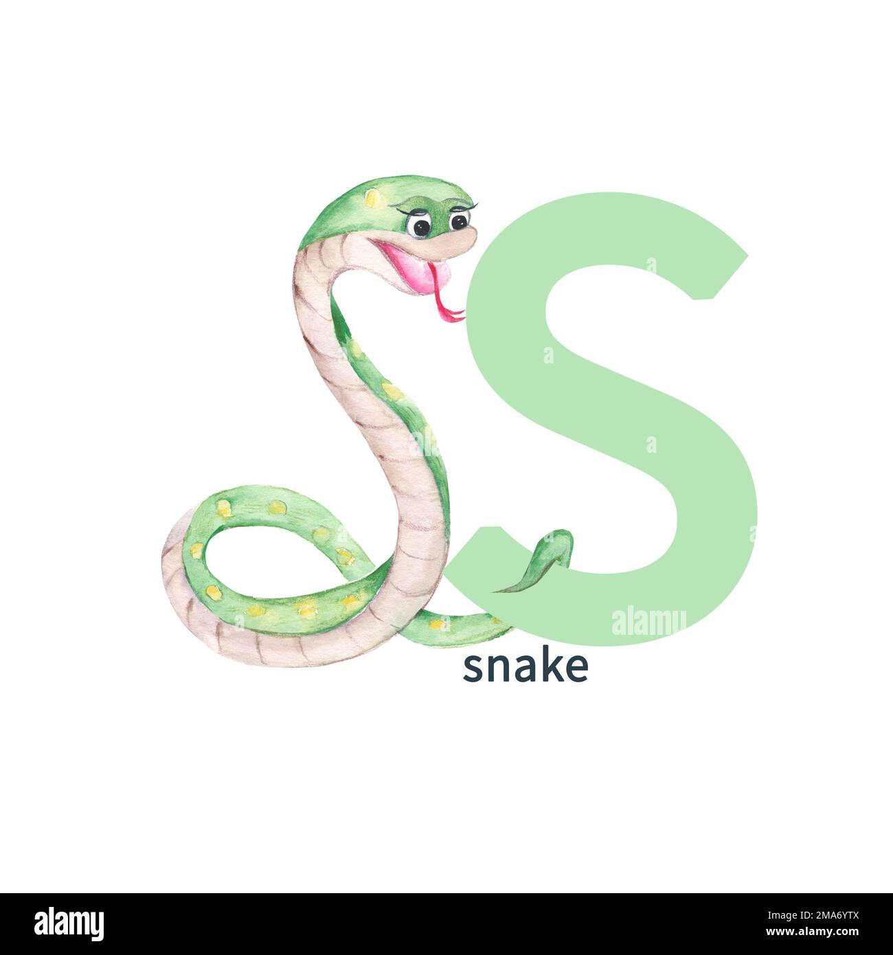 Letter S, snake, cute kids animal ABC alphabet. Watercolor illustration isolated on white background. Can be used for alphabet or cards for kids Stock Photo