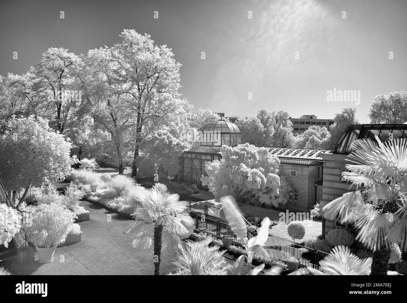 Greenhouse at the Moorish country house, infrared image, Zoological-Botanical Garden, Wilhelma, Stuttgart, Baden-Wuerttemberg, Germany Stock Photo
