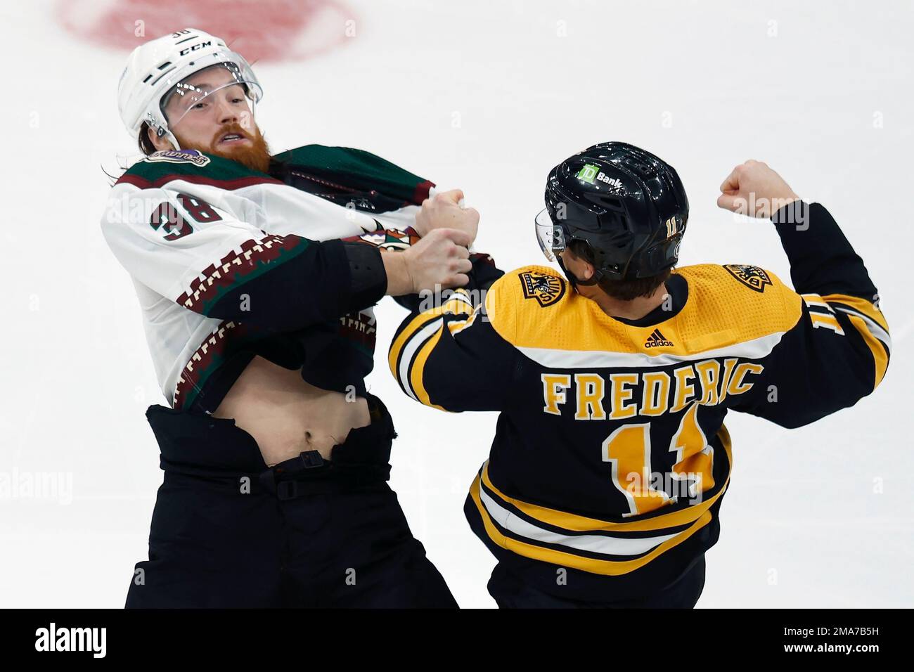 Boston Bruins' Trent Frederic (11) and Arizona Coyotes' Liam O'Brien (38)  fight during the second period of an NHL hockey game, Saturday, Oct. 15,  2022, in Boston. (AP Photo/Michael Dwyer Stock Photo - Alamy