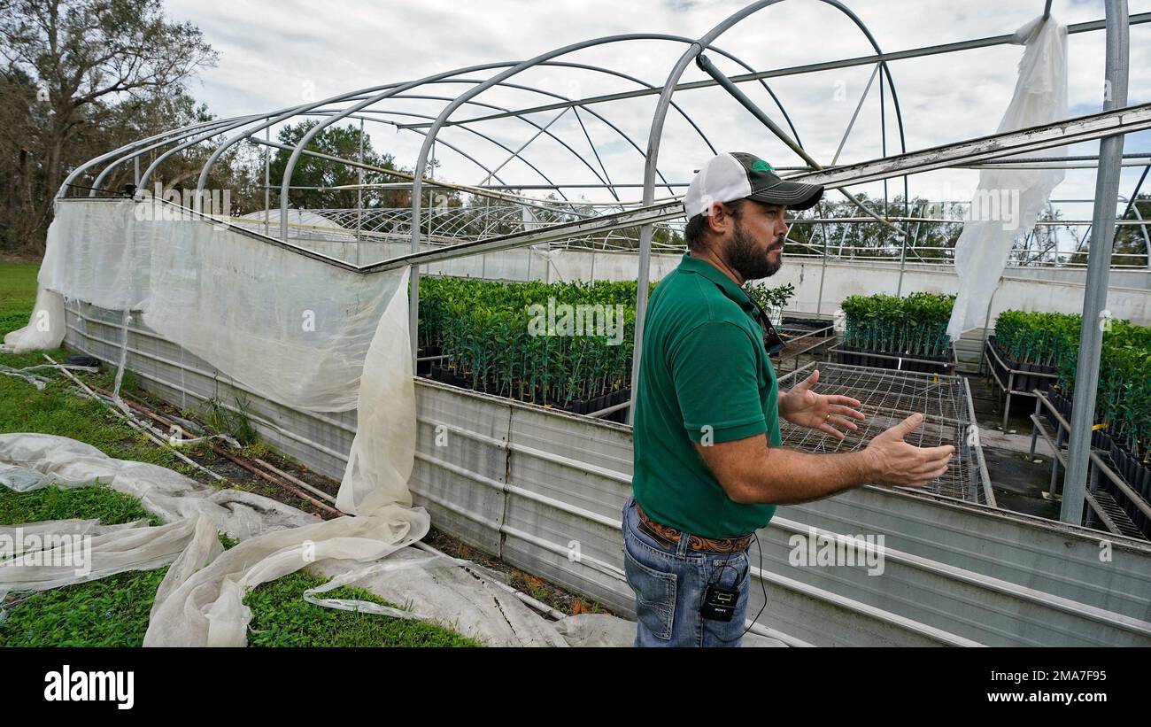 Fifth generation farmer Roy Petteway surveys the damage to his citrus