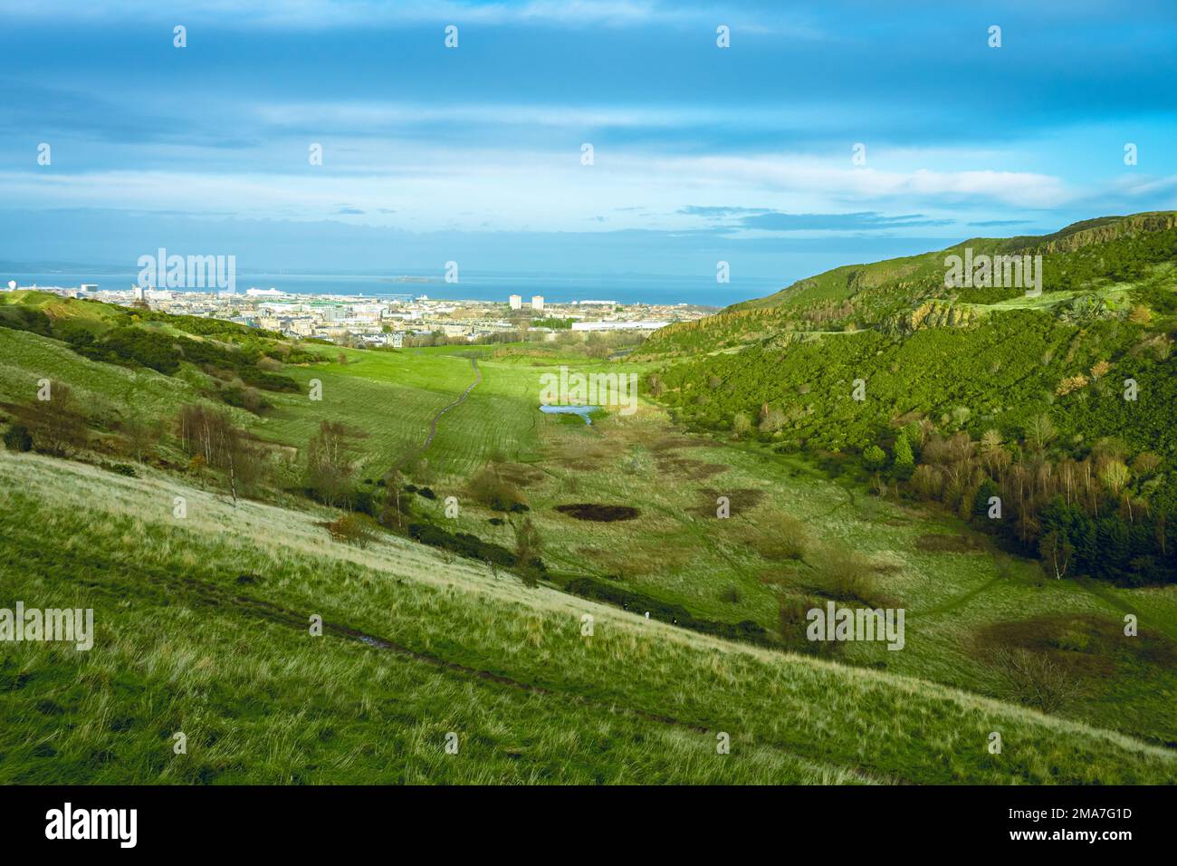An aerial view of greenery field with dense trees Stock Photo - Alamy