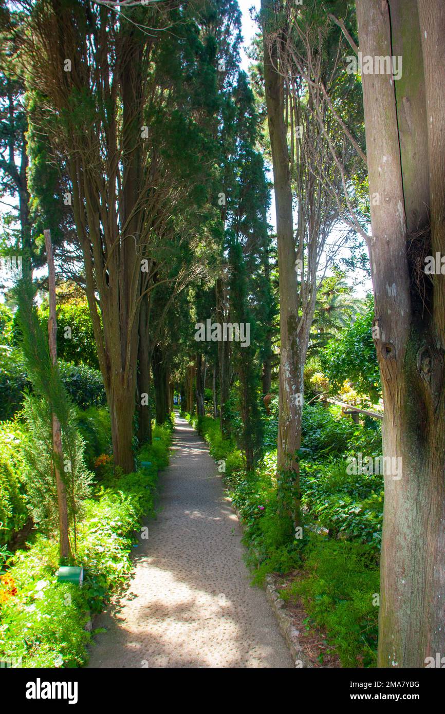 The gardens of Villa San Michele, Capri island, Italy Stock Photo