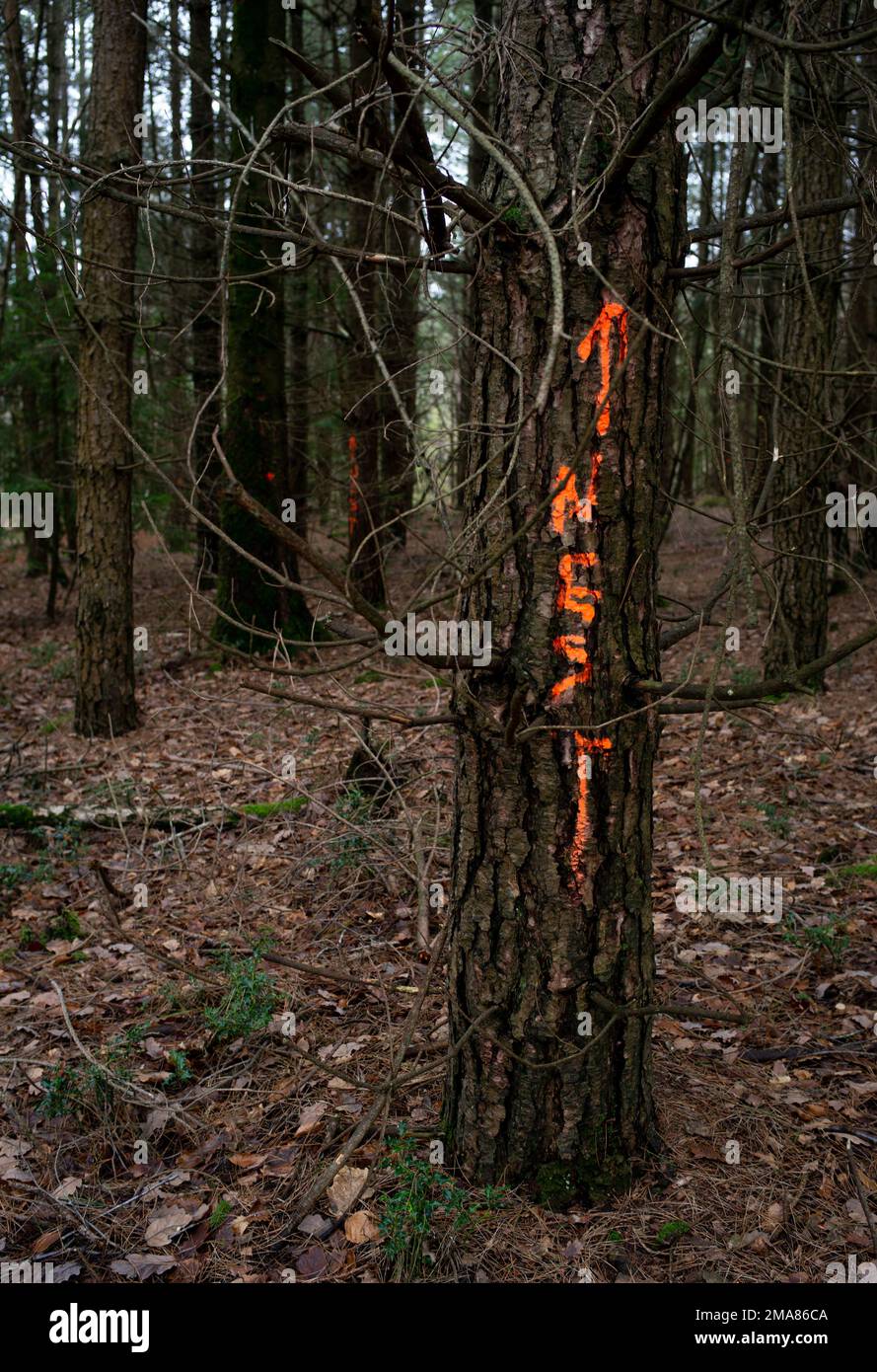 Nest spray paint hires stock photography and images Alamy