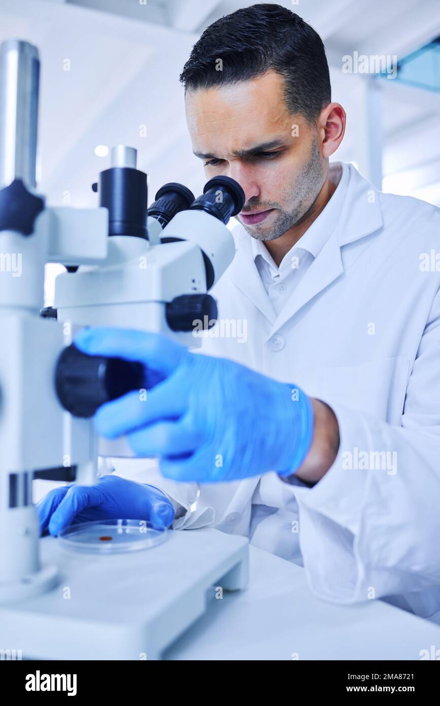 Under the microscope. a handsome young male scientist working with a ...
