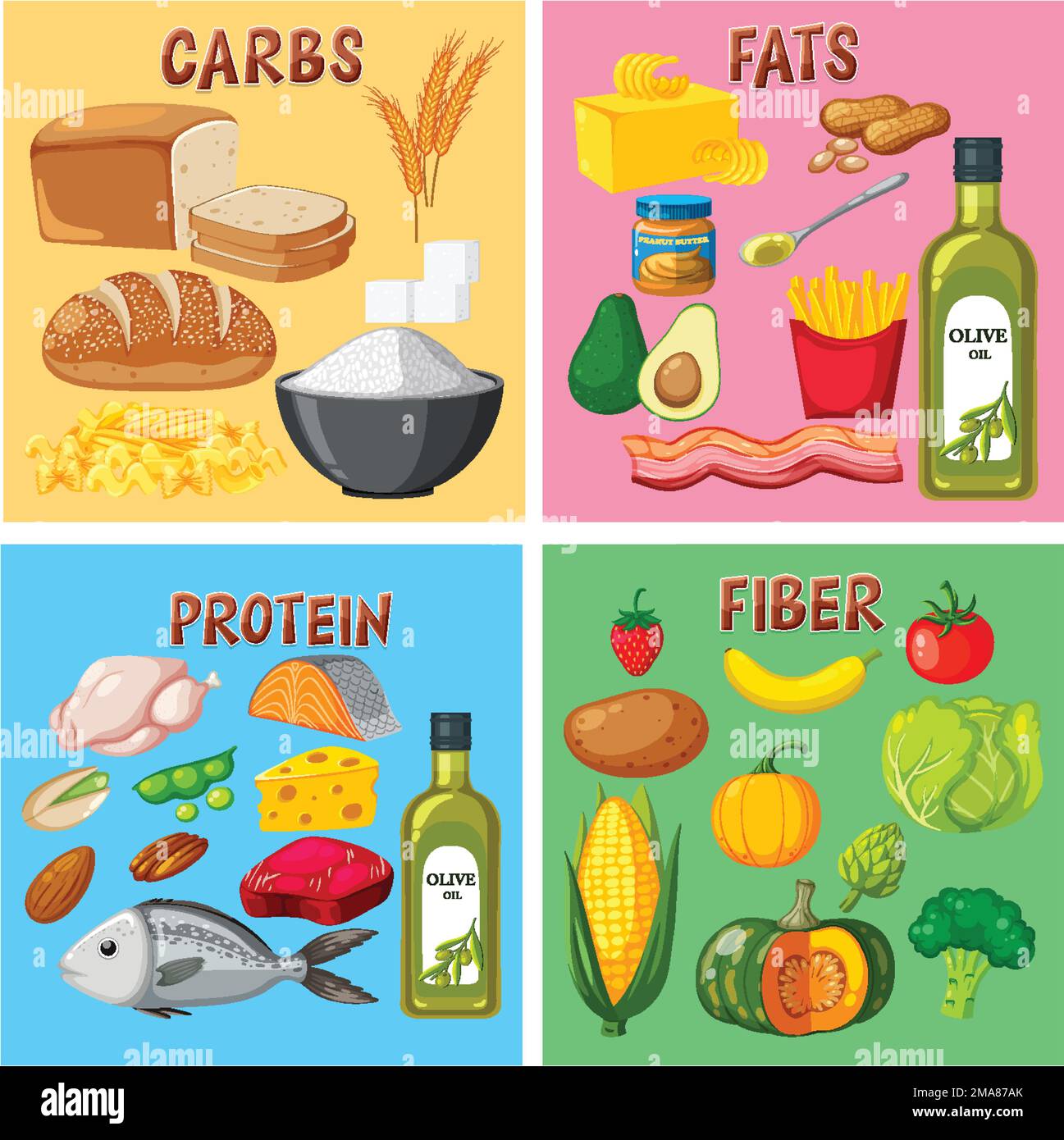 The Four Main Food Groups Illustration Stock Vector Image Art Alamy the-four-main-food-groups-illustration-stock-vector-image-art-alamy