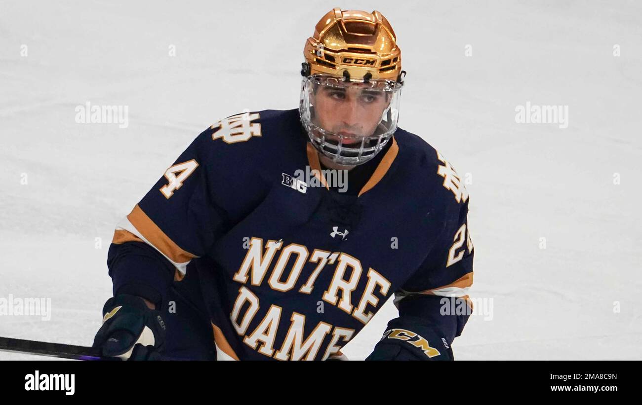 Notre Dame defenseman Drew Bavaro (24) during an NCAA hockey game on  Friday, Oct. 7, 2022, in Denver. (AP Photo/Bart Young Stock Photo - Alamy