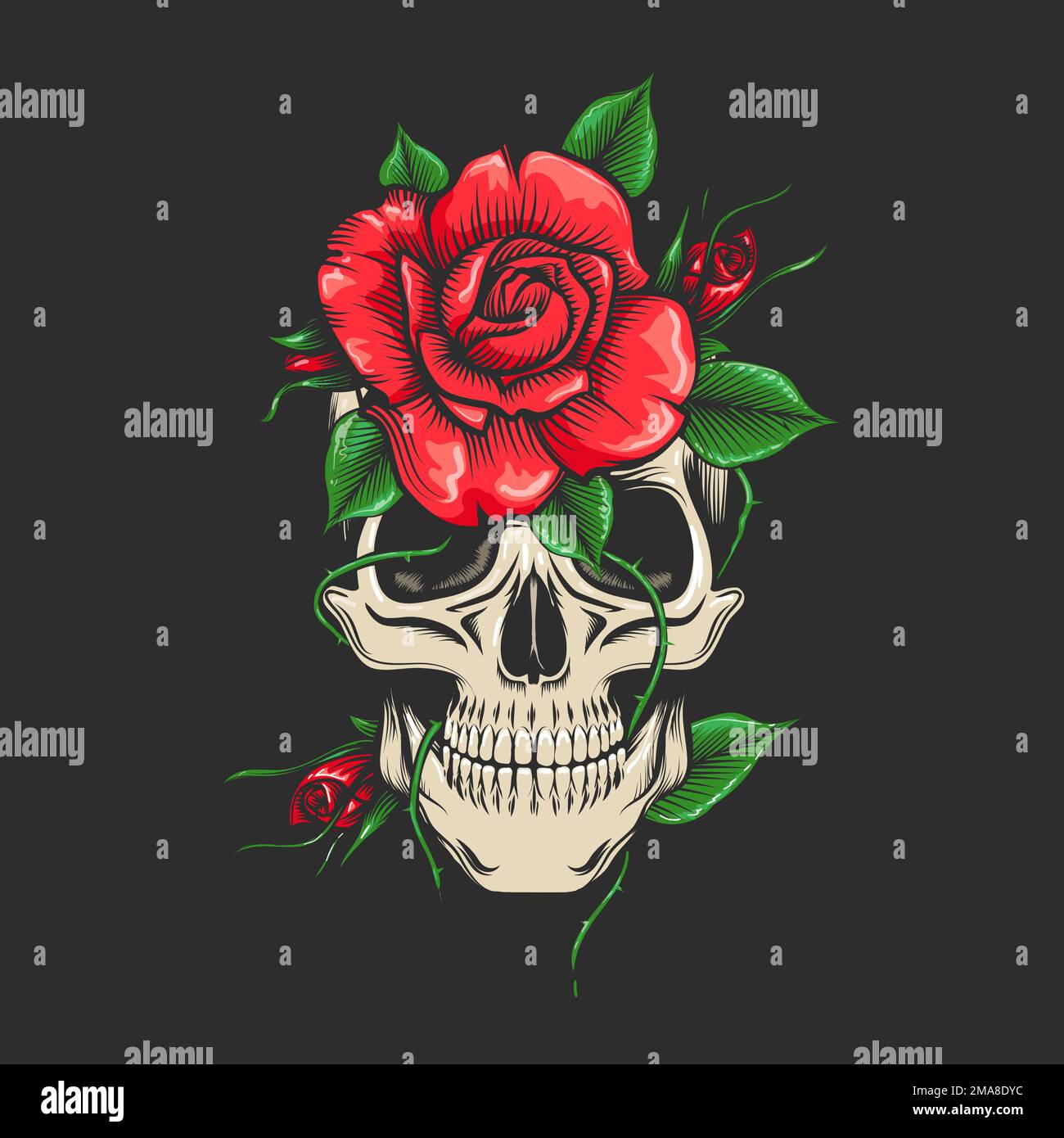 Colored Human Skull and Roses Flowers Isolated on Black background. Vector illustration. Stock Vector