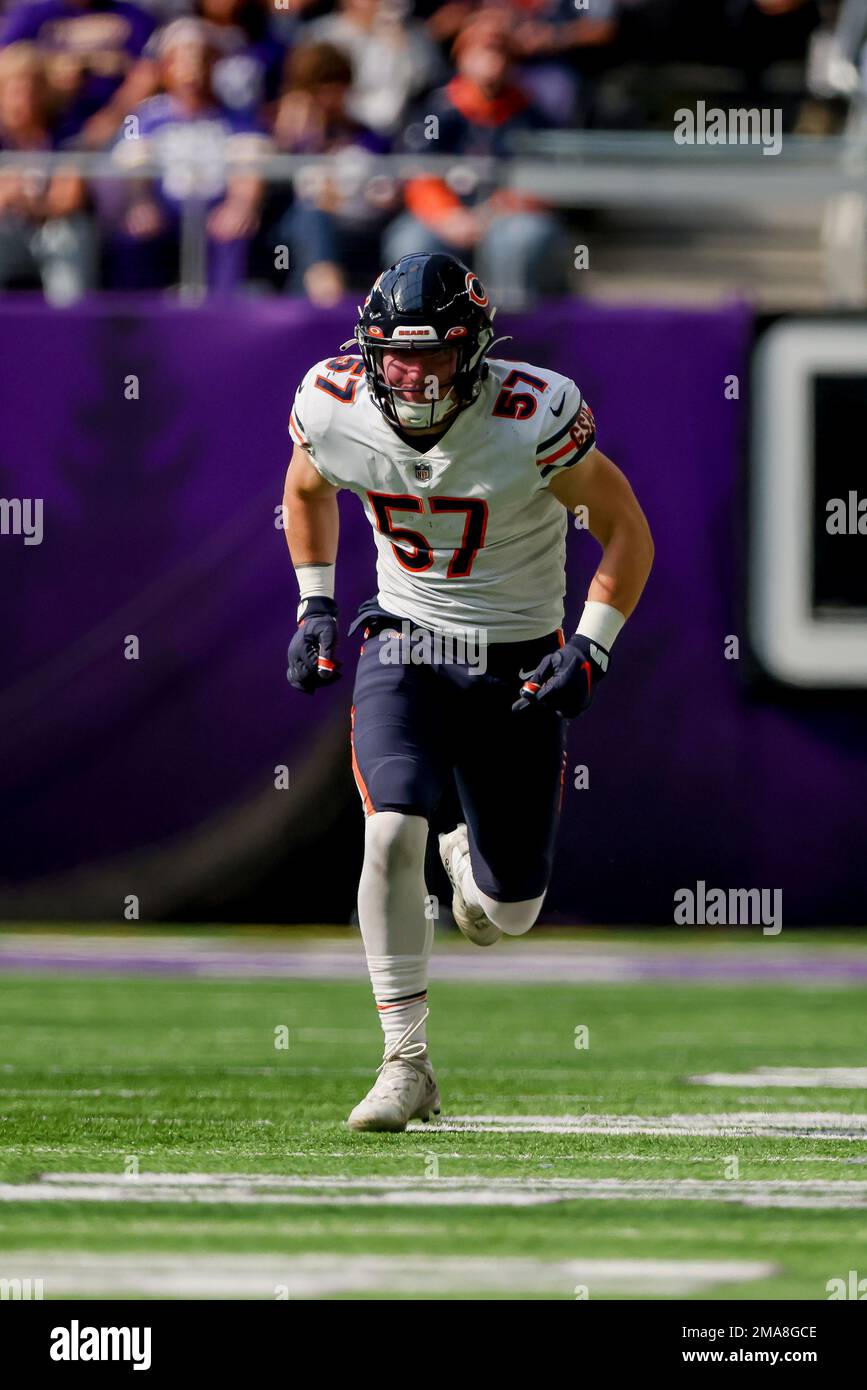 Chicago Bears linebacker Jack Sanborn (57) in action during the second half  of an NFL football game against the Minnesota Vikings, Sunday, Oct. 9, 2022  in Minneapolis. (AP Photo/Stacy Bengs Stock Photo - Alamy