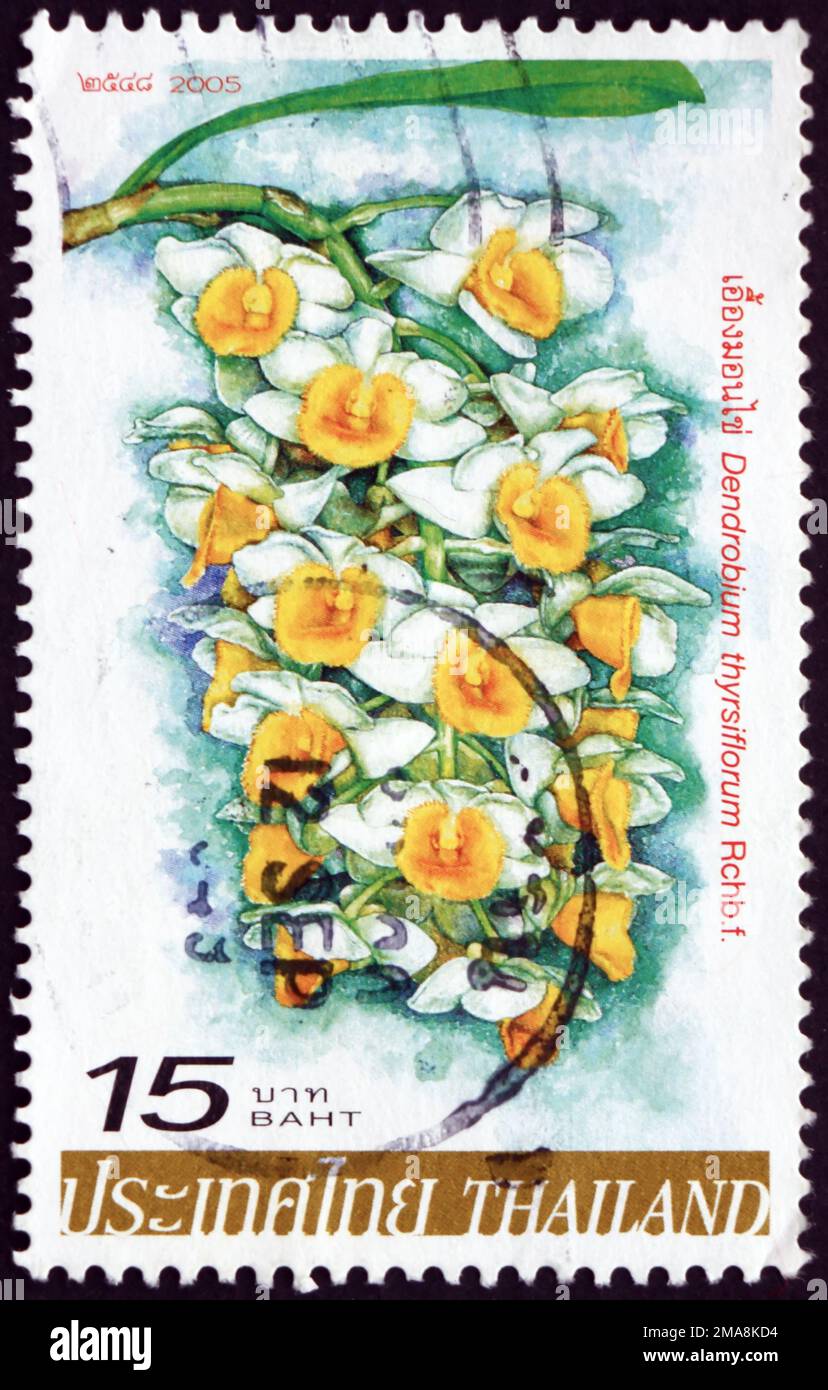 THAILAND - CIRCA 2005: a stamp printed in Thailand shows pinecone-like raceme dendrobium, dendrobium thyrsiflorum, is a species of orchid native to Hi Stock Photo