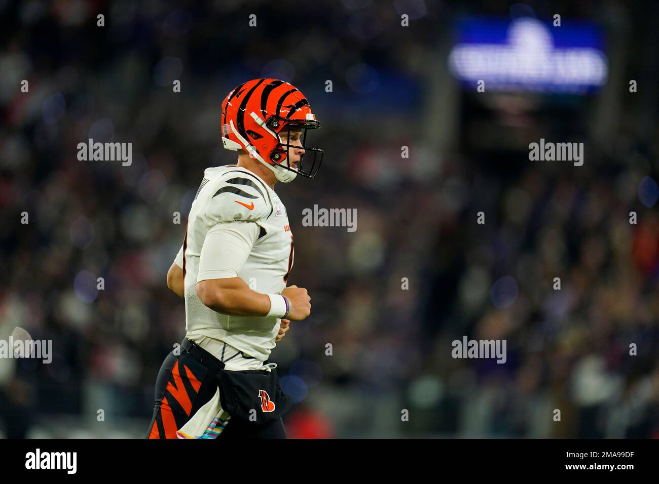 PHOTOS: Cincinnati Bengals at Baltimore Ravens, Oct. 9