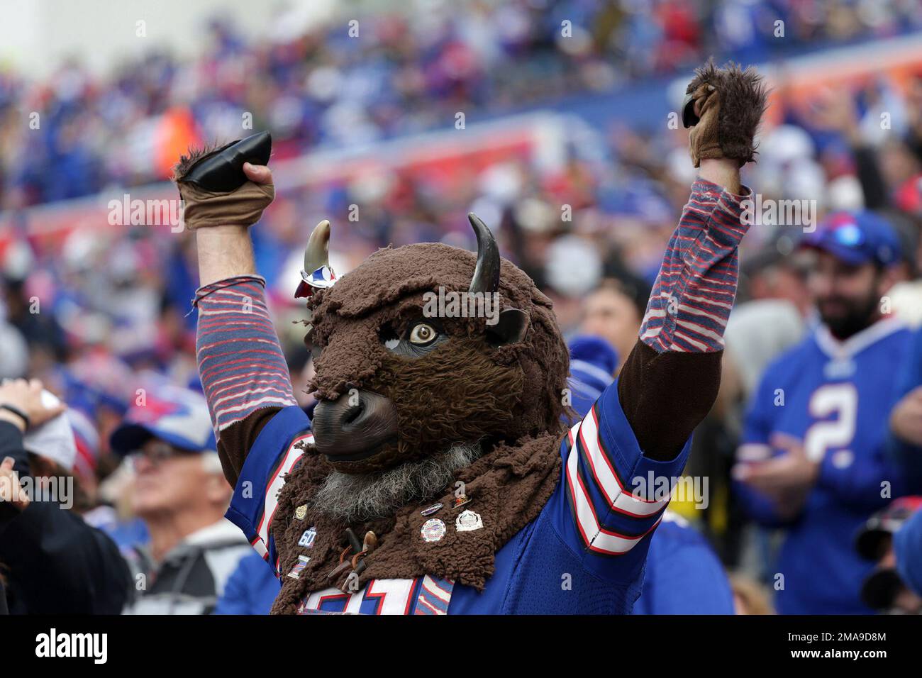 A Buffalo Bills fan cheers during the first half of an NFL