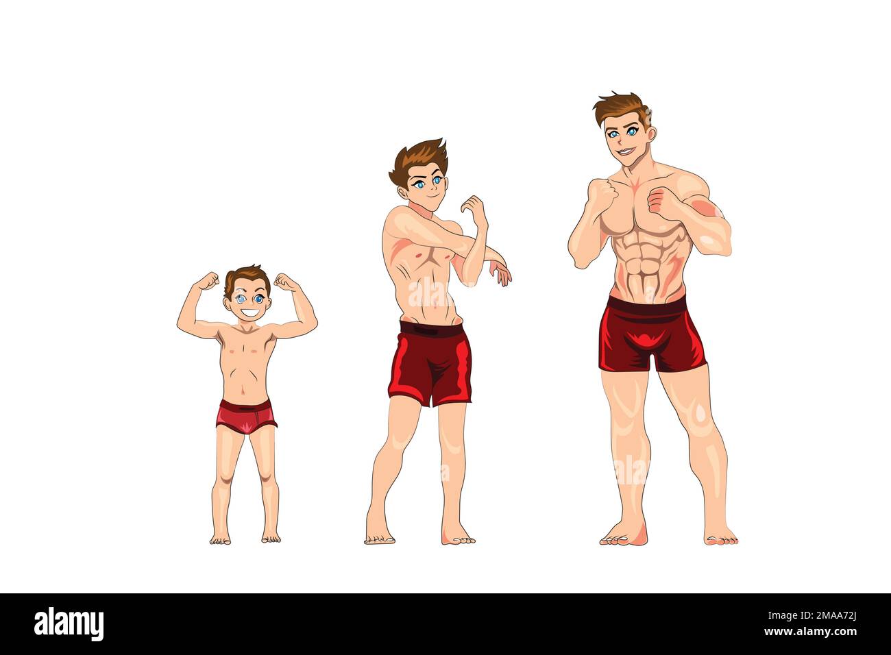 body growing stages, human body anatomy, age stadium Stock Vector Image