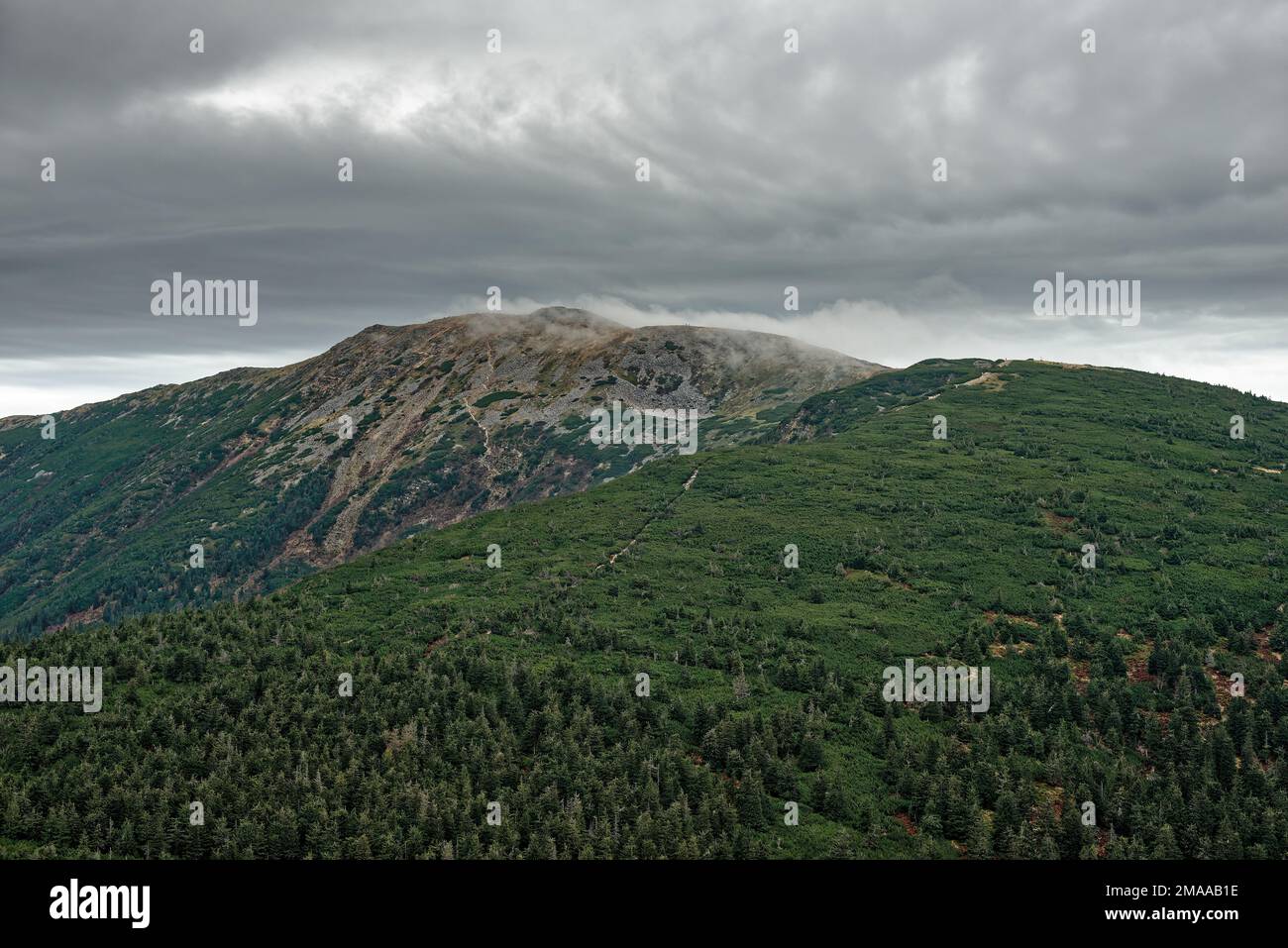 A drone view of hills with green trees under cloudy sky Stock Photo - Alamy