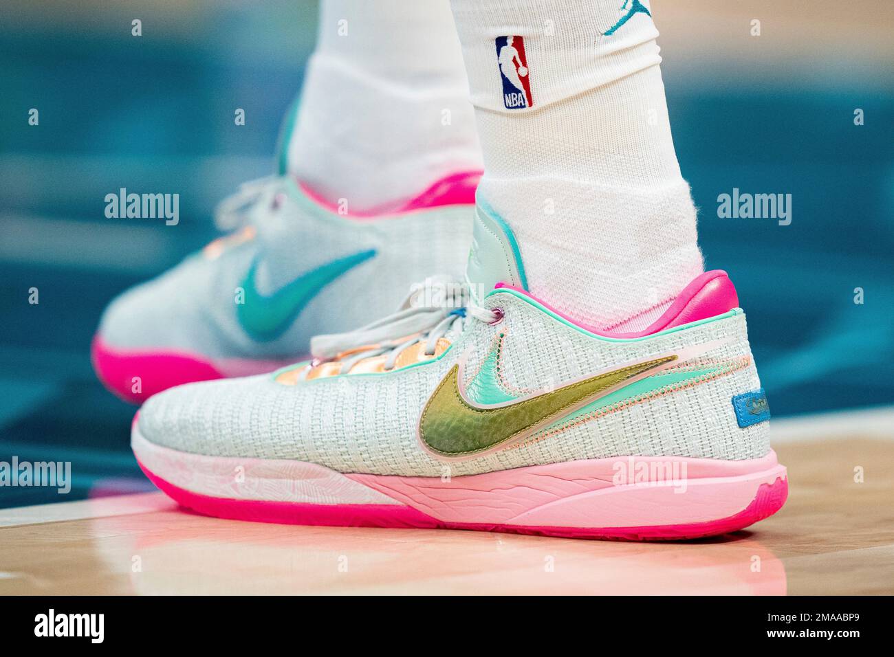Charlotte hornets shop shoes