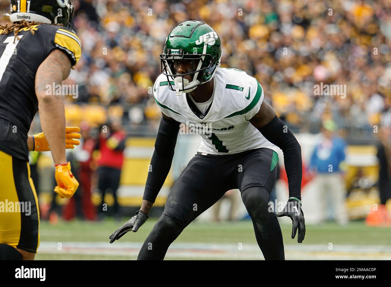 Pittsburgh Steelers defensive end DeMarvin Leal during an NFL football game  against the New York Jets at Acrisure Stadium, Sunday, Oct. 2, 2022 in  Pittsburgh, Penn. (Winslow Townson/AP Images for Panini Stock Photo - Alamy