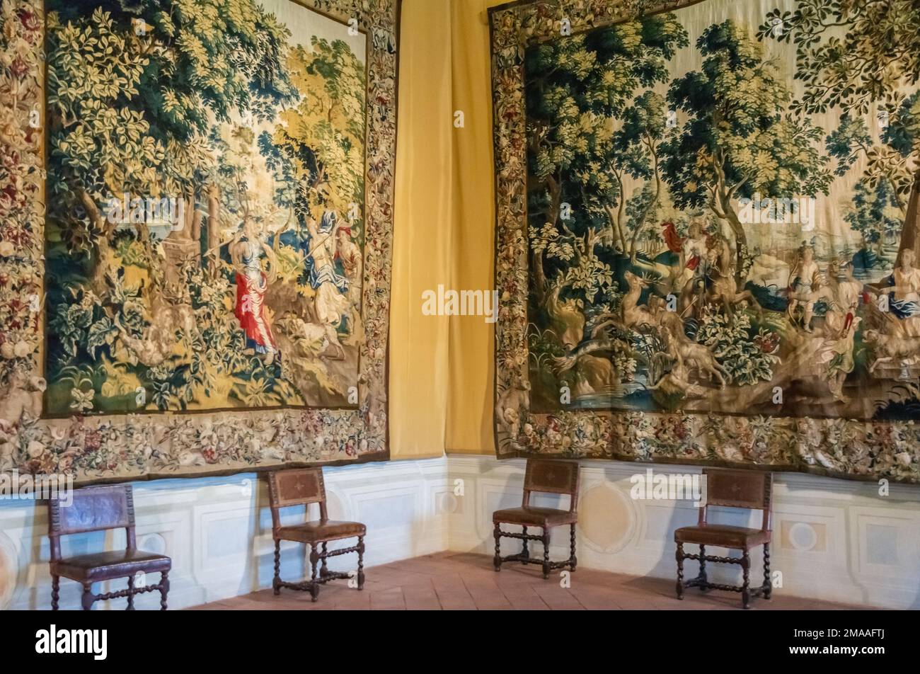 The inside of the Palace of Venaria (Italian: Reggia di Venaria