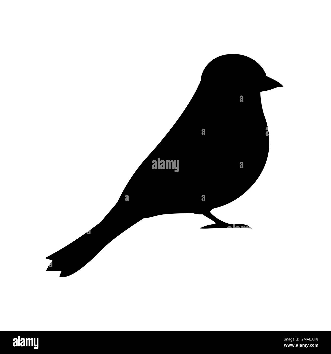 Vector hand drawn flat bullfinch bird silhouette isolated on white