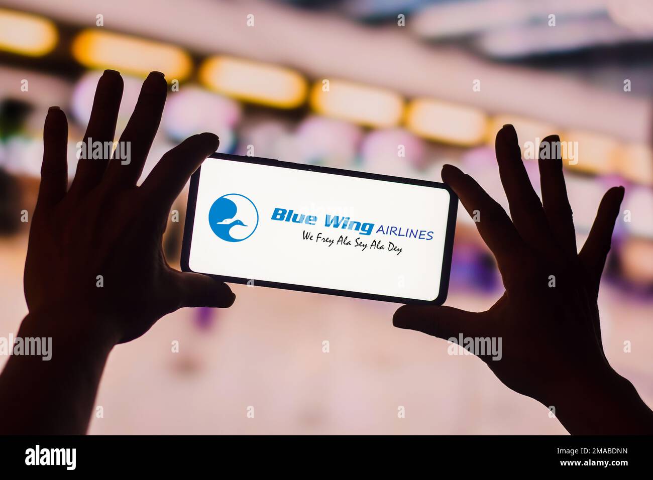Brazil. 19th Jan, 2023. In this photo illustration, the Blue Wing Airlines logo is displayed on a smartphone screen. It is an airline based at Zorg en Hoop airport in Paramaribo, Suriname. (Photo by Rafael Henrique/SOPA Images/Sipa USA) Credit: Sipa USA/Alamy Live News Stock Photo