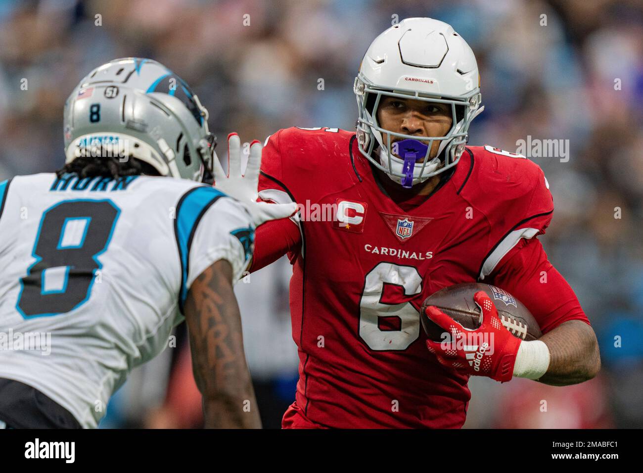 Carolina Panthers cornerback Jaycee Horn (8) pursues Arizona Cardinals  running back James Conner (6) during an NFL football game on Sunday, Oct.  2, 2022, in Charlotte, N.C. (AP Photo/Jacob Kupferman Stock Photo - Alamy