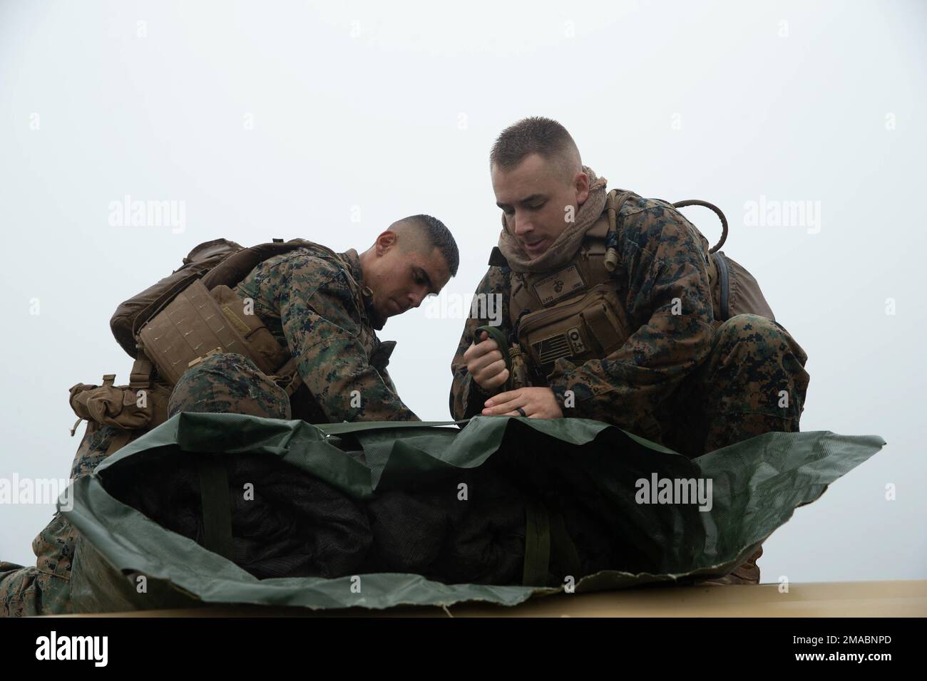 U.S. Marine Corps Lance Cpl. Aaron Cordova, left, and Lance Cpl. Caleb Anderson, right, both motor vehicle operators with 3rd Landing Support Battalion, Combat Logistics Regiment 3, 3rd Marine Logistics Group, conceal a Joint Light Tactical Vehicle from aerial surveillance, Jungle Warfare Training Center, Okinawa, Japan, May 24, 2022. 3rd LSB conducted convoys with simulated opposition forces to prepare for future operations and foster force readiness. 3rd MLG, based out of Okinawa, Japan, is a forward-deployed combat unit that serves as III MEF’s comprehensive logistics and combat service sup Stock Photo