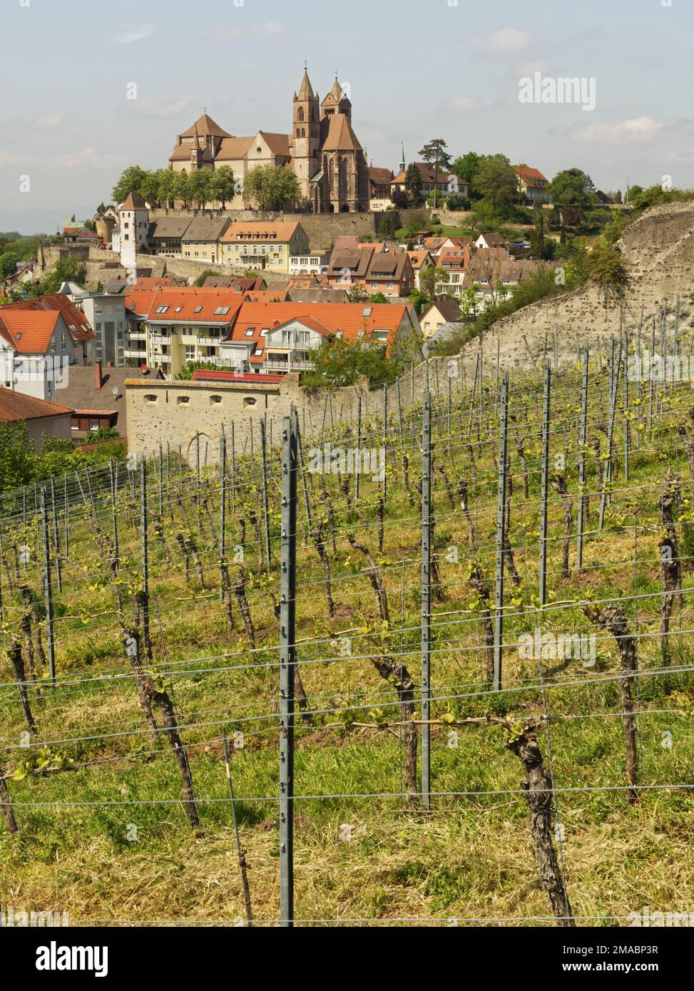 View of Breisach, Germany Stock Photo - Alamy