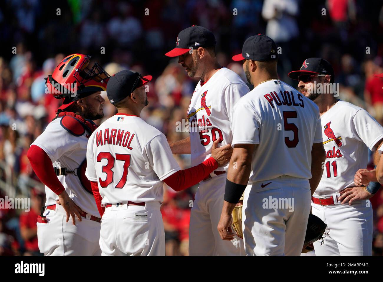 St. Louis Cardinals manager Oliver Marmol (37) talks with starting ...