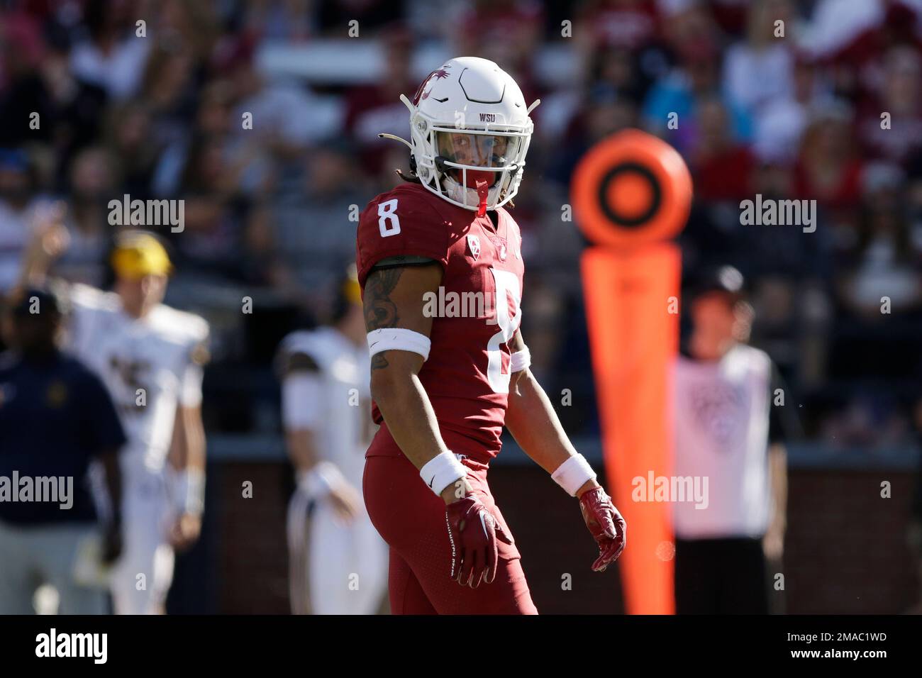 Washington State defensive back Armani Marsh stands on the field during the  first half of an NCAA college football game against California, Saturday,  Oct. 1, 2022, in Pullman, Wash. (AP Photo/Young Kwak