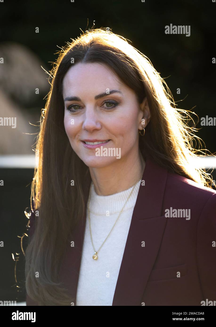 London, UK. 19th Jan, 2023. January 19th, 2023. London, UK. The Princess of Wales, Patron of the Rugby Football League, hosts a reception for the England Wheelchair Rugby League team in recognition of their success at the recent Rugby League World Cup, at Hampton Court Palace. Credit: Doug Peters/Alamy Live News Stock Photo