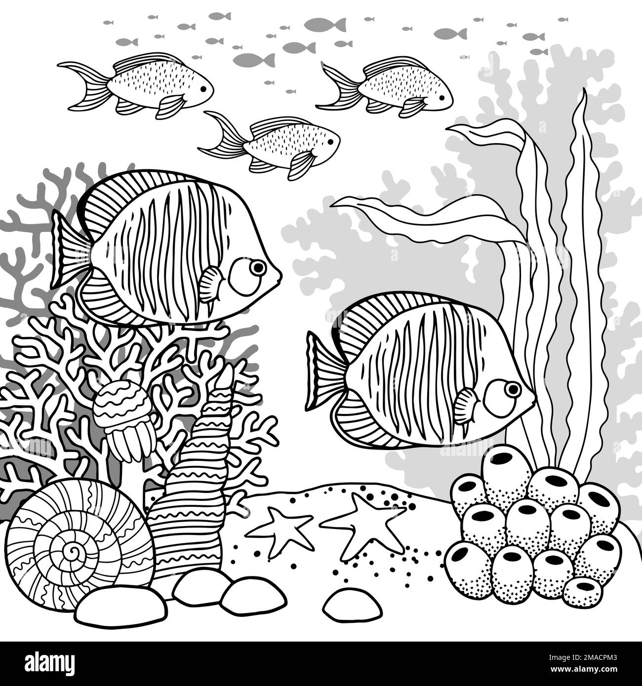 Ocean Coloring Pages For Adults