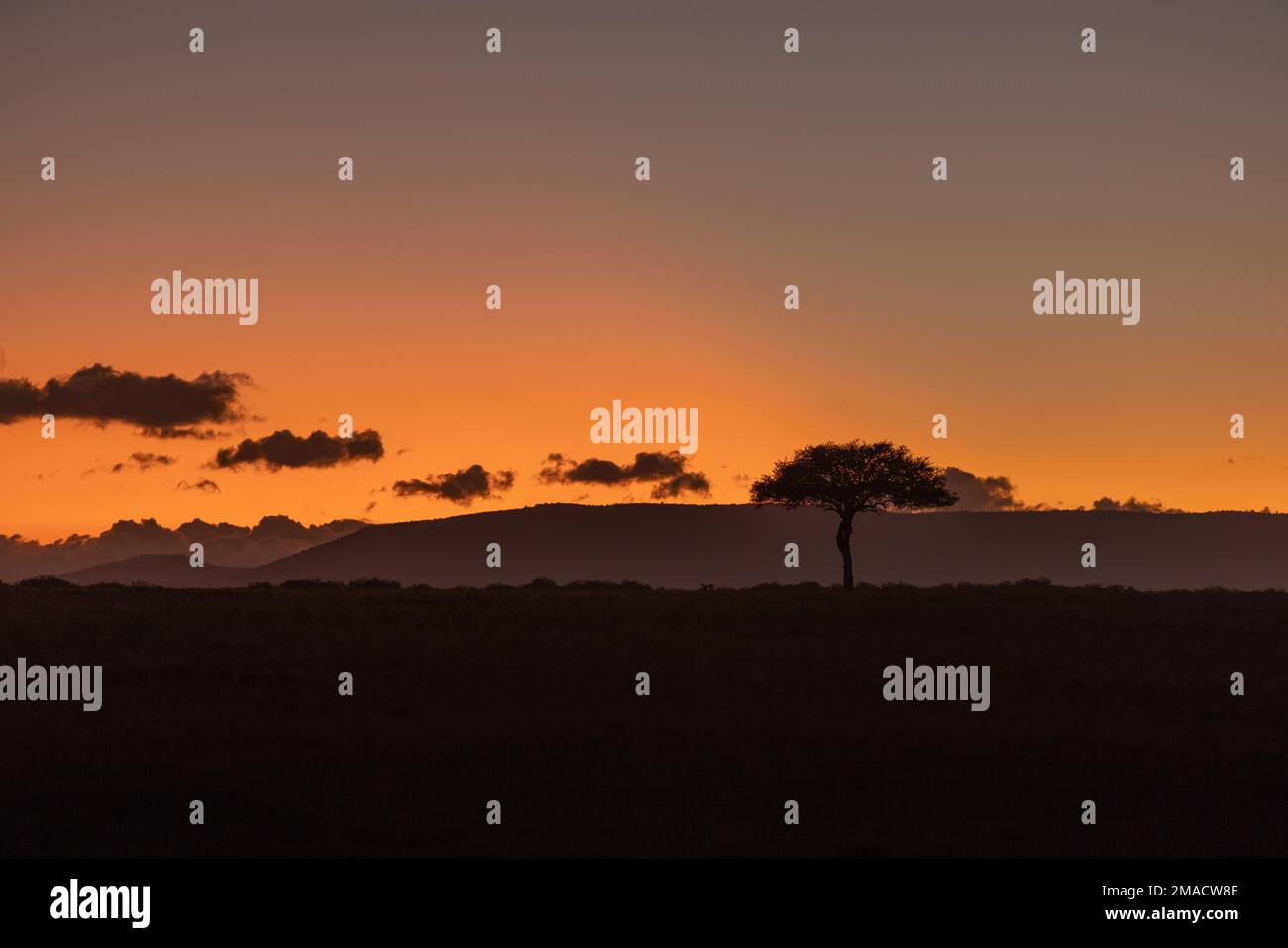 Masai mara plains sunset hi-res stock photography and images - Alamy