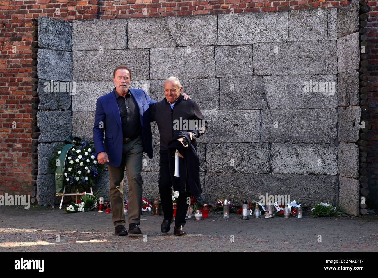 Arnold Schwarzenegger, left, and Simon Bergson, chairman of The ...