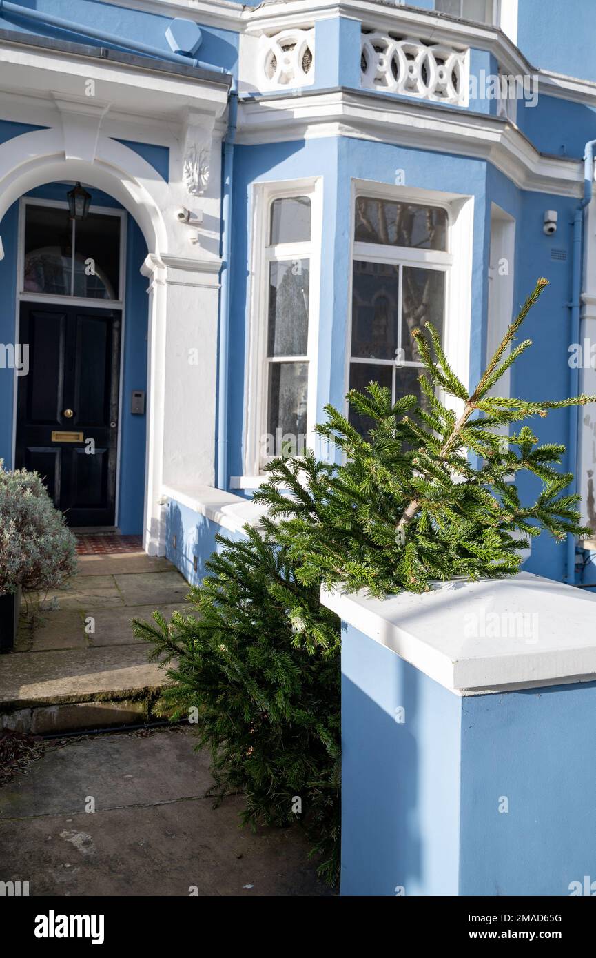 Where to throw old christmas tree hires stock photography and images