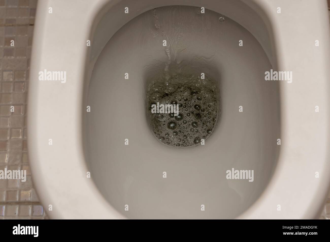 flushing the toilet. Toilet, Flushing Water. close up Stock Photo Alamy