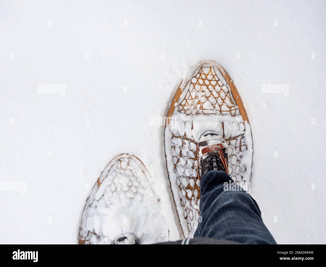 Stepping out on Snowshoes - right foot: A pair of traditional snowshoes from above.  Stepping forward with the right foot. Stock Photo