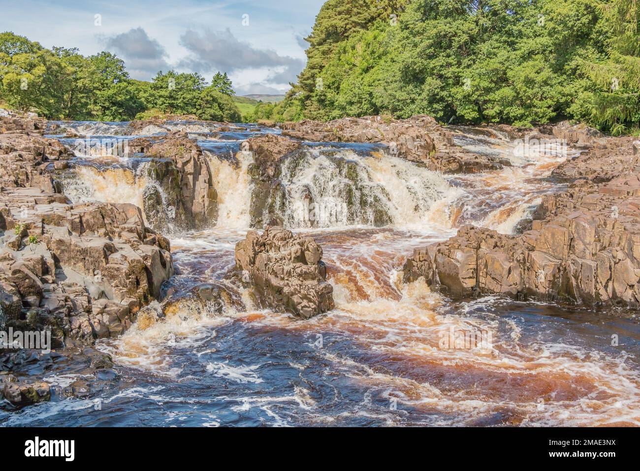 A short way up the River Tees from Low Force Waterfall is this cascade, known as the Salmon Leap. Stock Photo